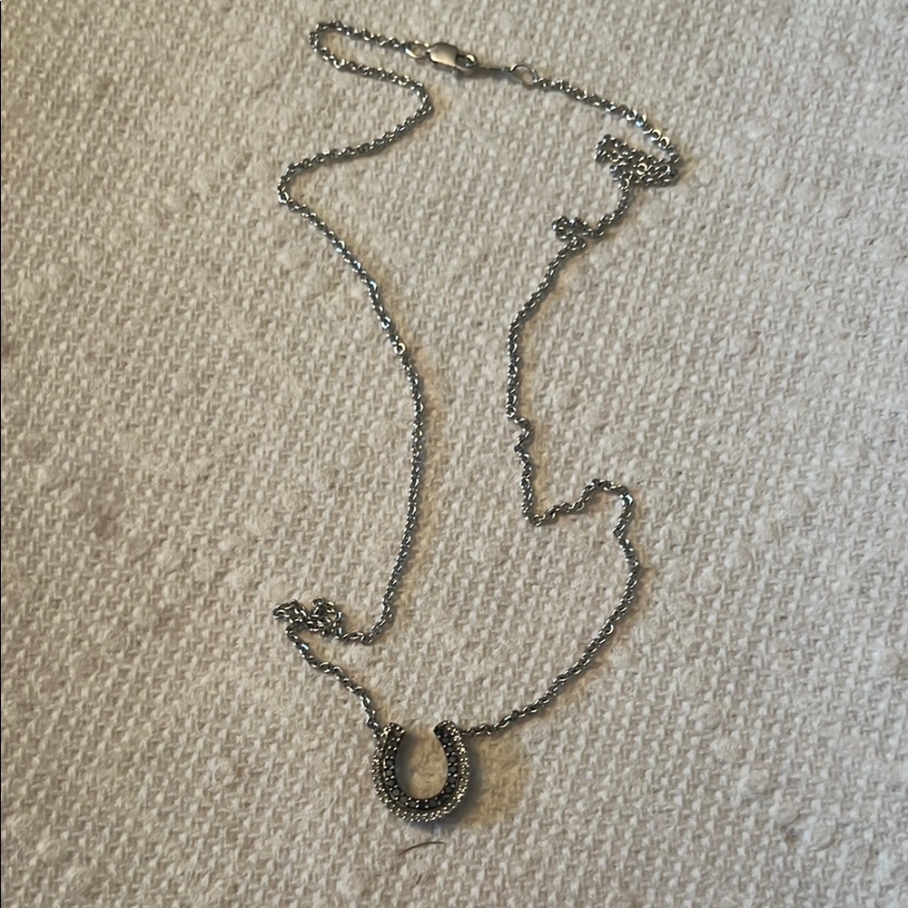 Elegant Silver Horseshoe Necklace